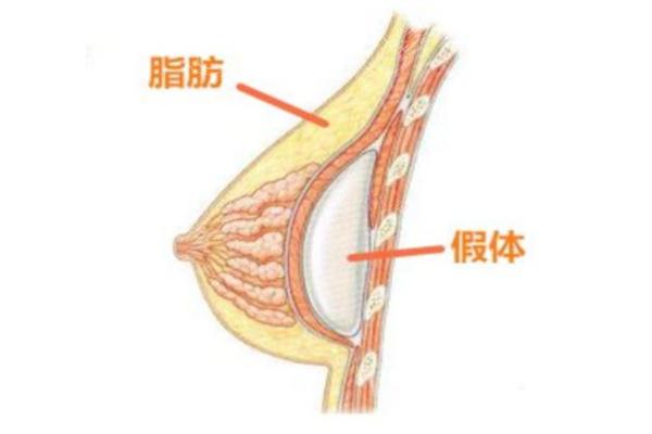 嘉兴艺星整形美容医院怎么样