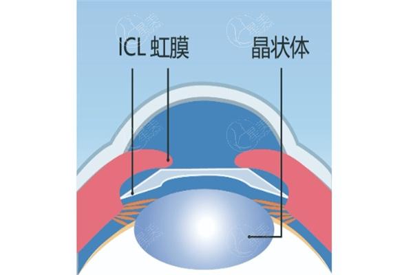 微信截图_20231010182352.jpg