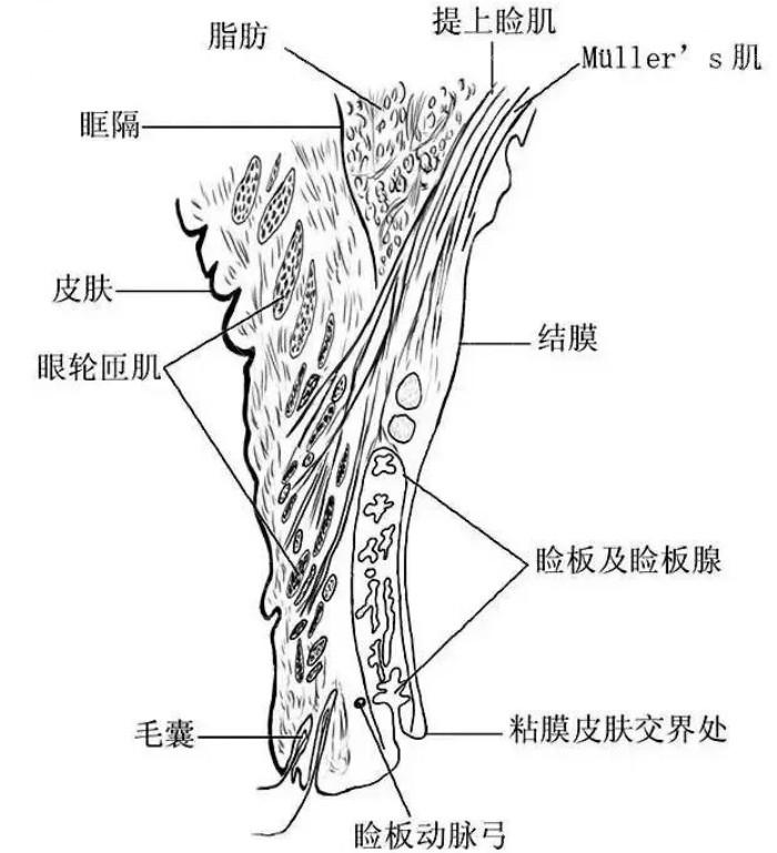 石家庄角膜塑形镜便宜又好的眼科医院 收费实惠口碑好的看这几家