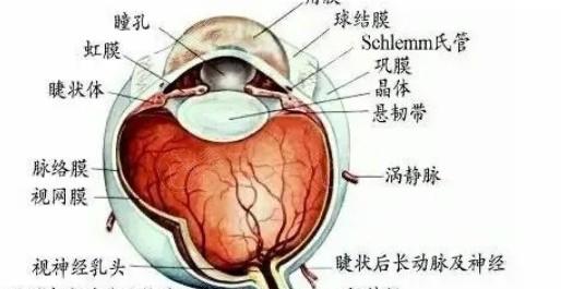 青岛老视手术排名前2的眼科医院汇总 青岛有名的是青岛华厦、鹿晰、青岛福柏眼科医院