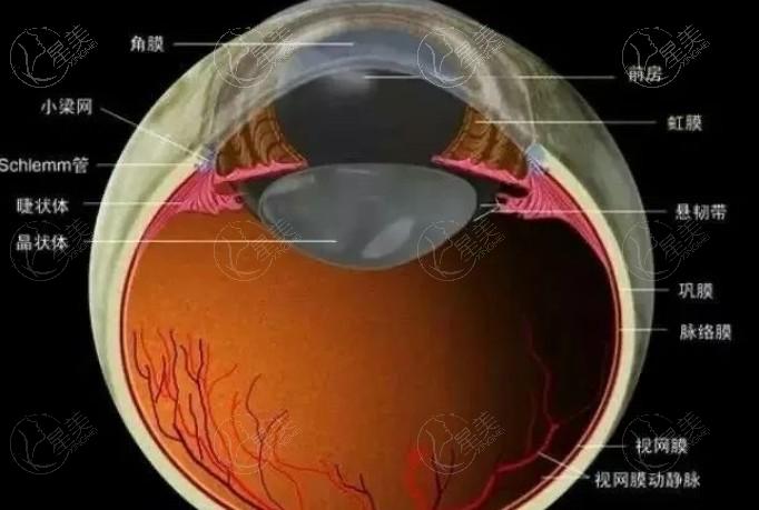 青岛散光晶体眼科医院排名 排名上青岛华厦/鹿晰/青岛福柏眼科医院挺出名