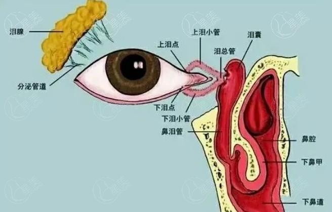 新版昆明眼科医院青光眼手术要多少钱 在眼科医院做青光眼手术16300