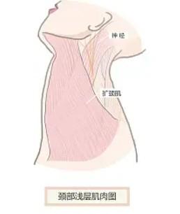 公布天津整形医院鼻部整形收费标准公开 网友直呼鼻头整形3000元+曼特波隆鼻8000元+太实惠