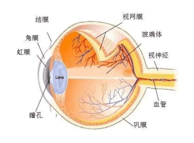 揭晓乌鲁木齐眼科医院近视眼手术收费标准一览 准分子激光9800起，收费透明不坑人