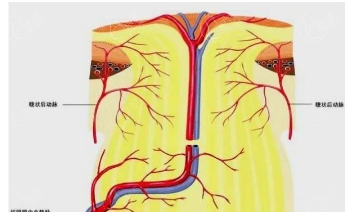 公开桂林眼科医院近视眼手术收费价格 价格表显示个性化半飞秒33500/LASIK半飞秒10000元起