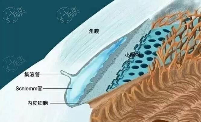 新的南京眼科医院近视眼手术价目表 蔡司半飞秒/精雕C+/全飞秒/个性化半飞秒费用不贵