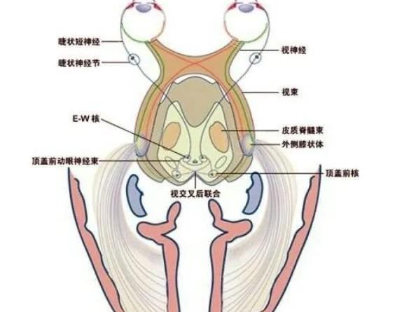 广州个性化半飞秒有名的眼科医院名单公布  有名的是广州视百年眼科门诊部、广州佰视佳眼科门诊部、广州普瑞眼科医院